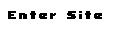 enter site